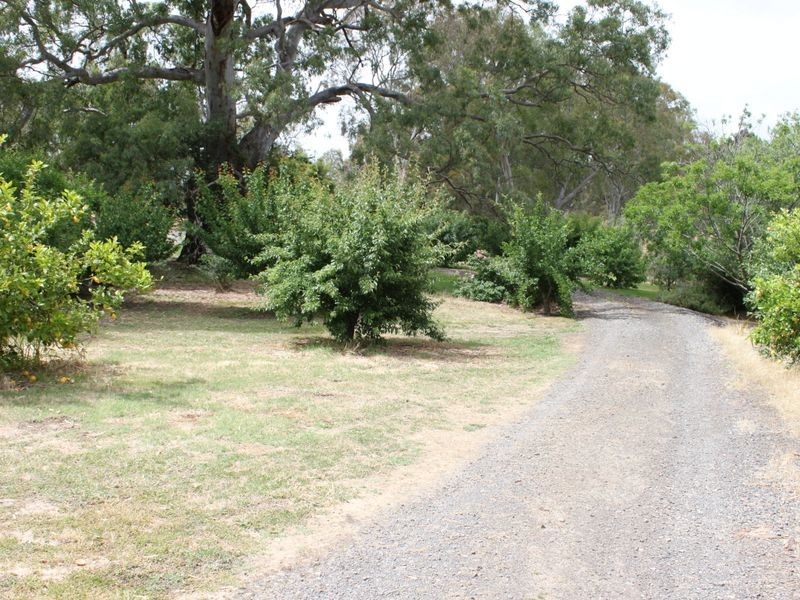 46 Jones Close, Alexandra VIC 3714