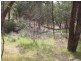 263 Old Yarck Road, Yarck VIC 3719