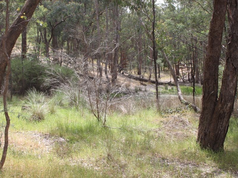 263 Old Yarck Road, Yarck VIC 3719