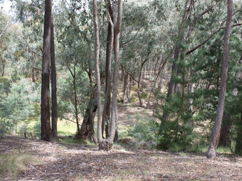 263 Old Yarck Road, Yarck VIC 3719
