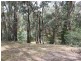 263 Old Yarck Road, Yarck VIC 3719