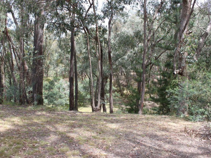 263 Old Yarck Road, Yarck VIC 3719