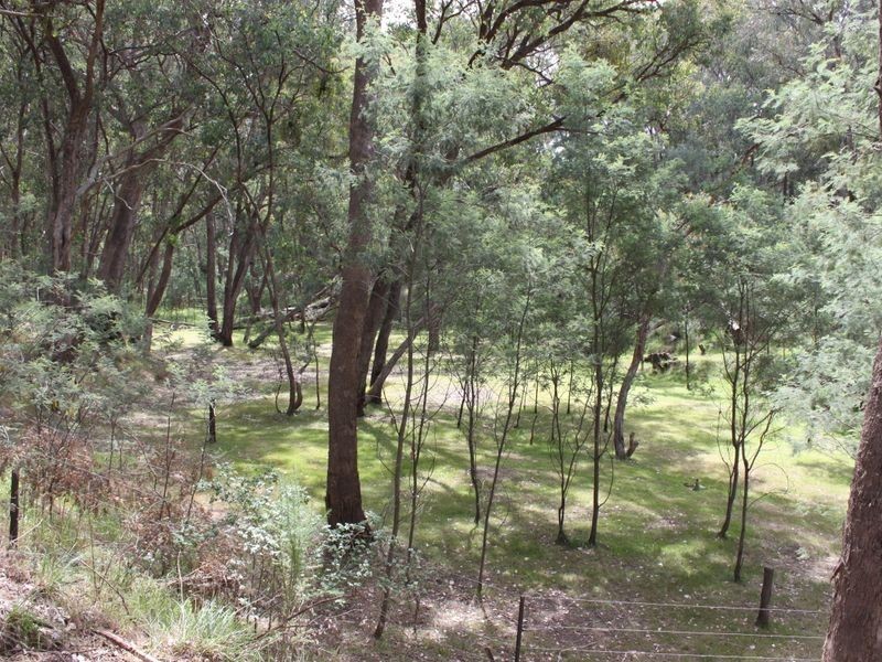 263 Old Yarck Road, Yarck VIC 3719