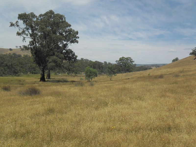 146 McGuigans Road, Kanumbra VIC 3719