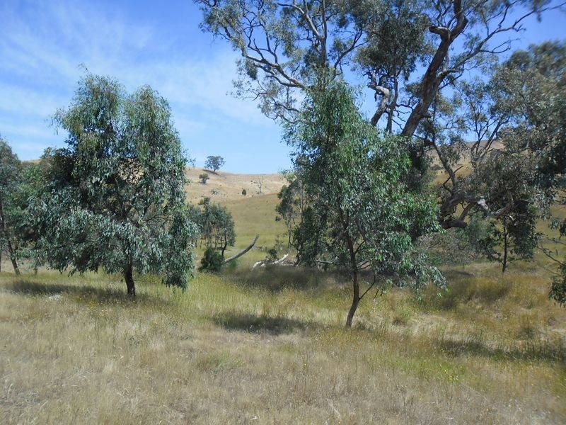 146 McGuigans Road, Kanumbra VIC 3719