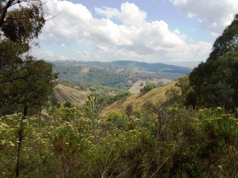 49 Clarries Track, Acheron VIC 3714