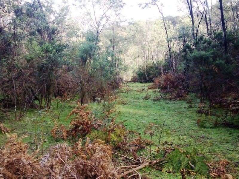 49 Clarries Track, Acheron VIC 3714