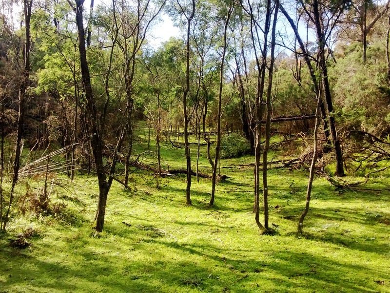 49 Clarries Track, Acheron VIC 3714