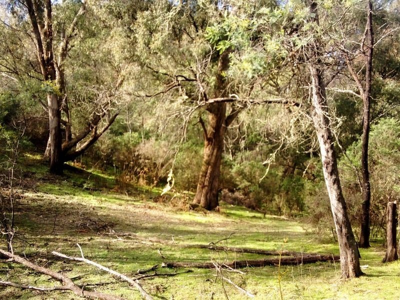 49 Clarries Track, Acheron VIC 3714