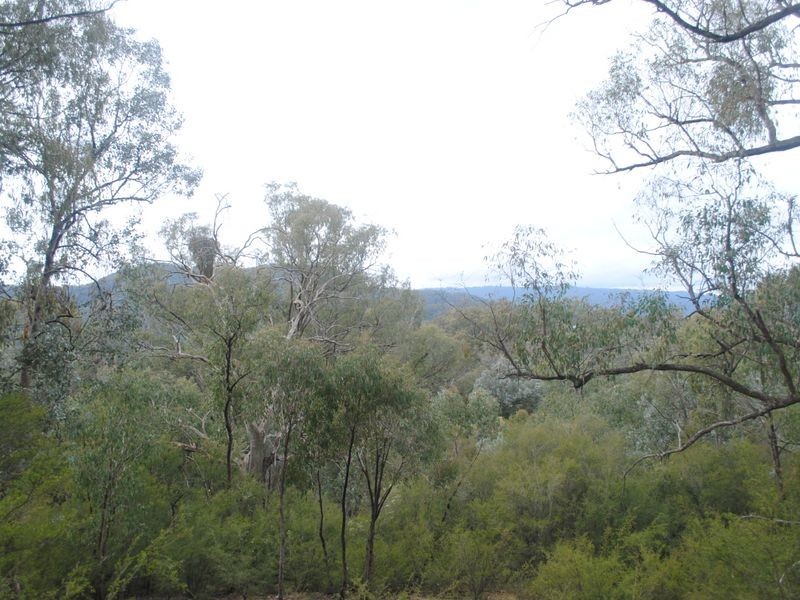 22 Ian Place, Eildon VIC 3713
