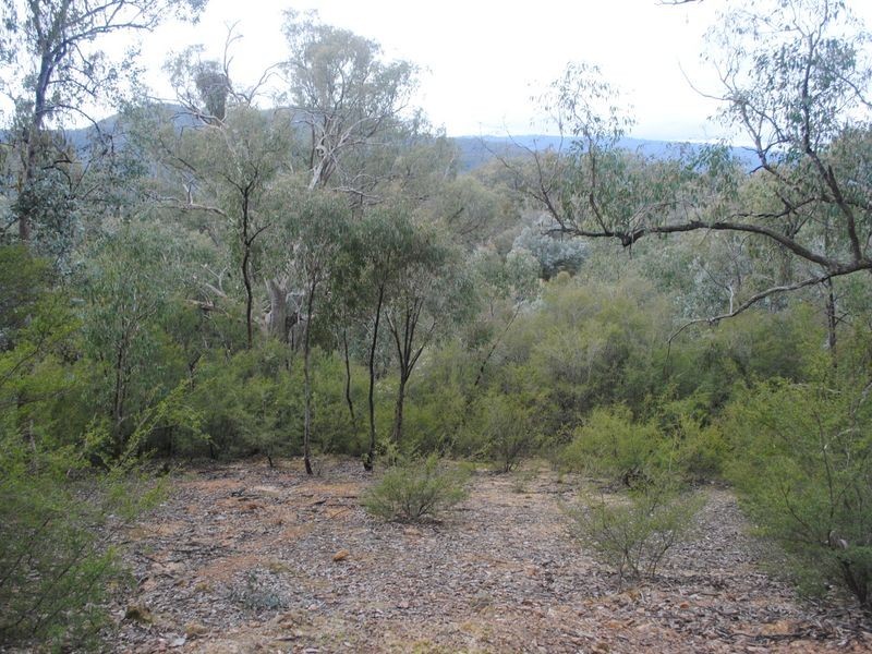 22 Ian Place, Eildon VIC 3713