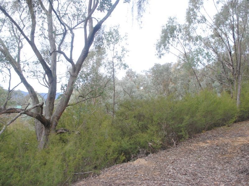 22 Ian Place, Eildon VIC 3713