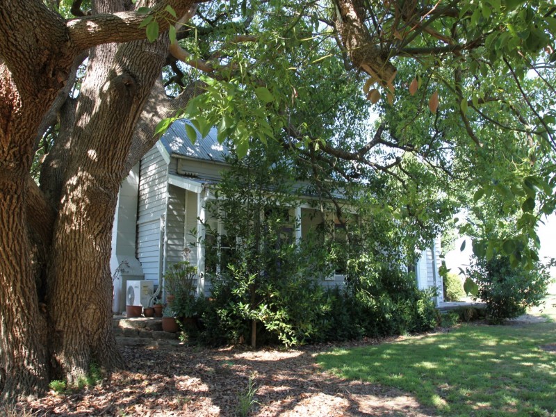 205 Nolans Road, Ruffy VIC 3666