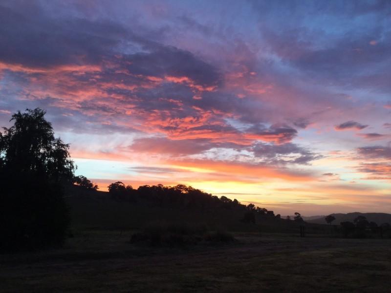 205 Nolans Road, Ruffy VIC 3666