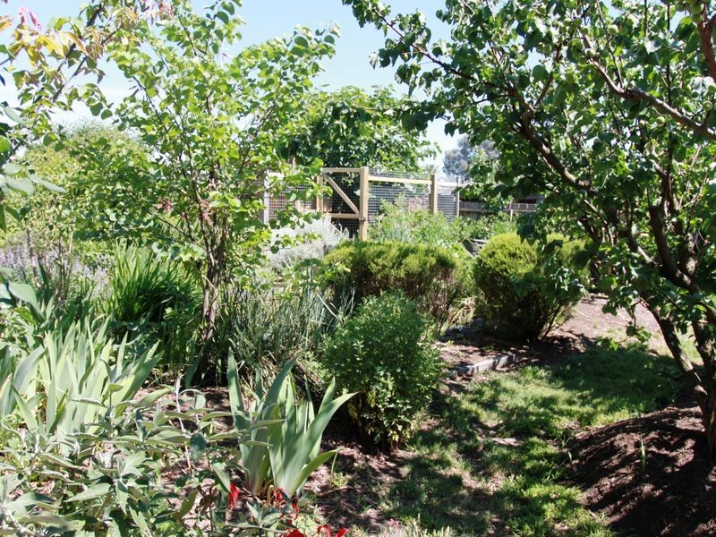 70 Bayley Street, Alexandra VIC 3714