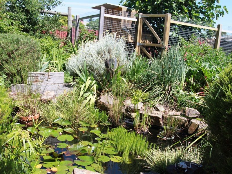 70 Bayley Street, Alexandra VIC 3714