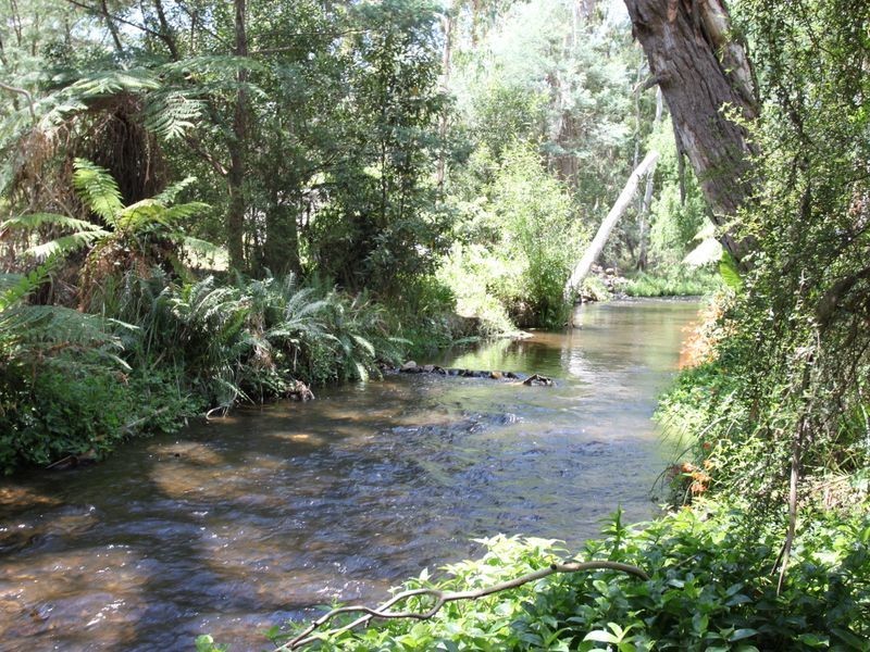 2 Aroona Drive, Buxton VIC 3711