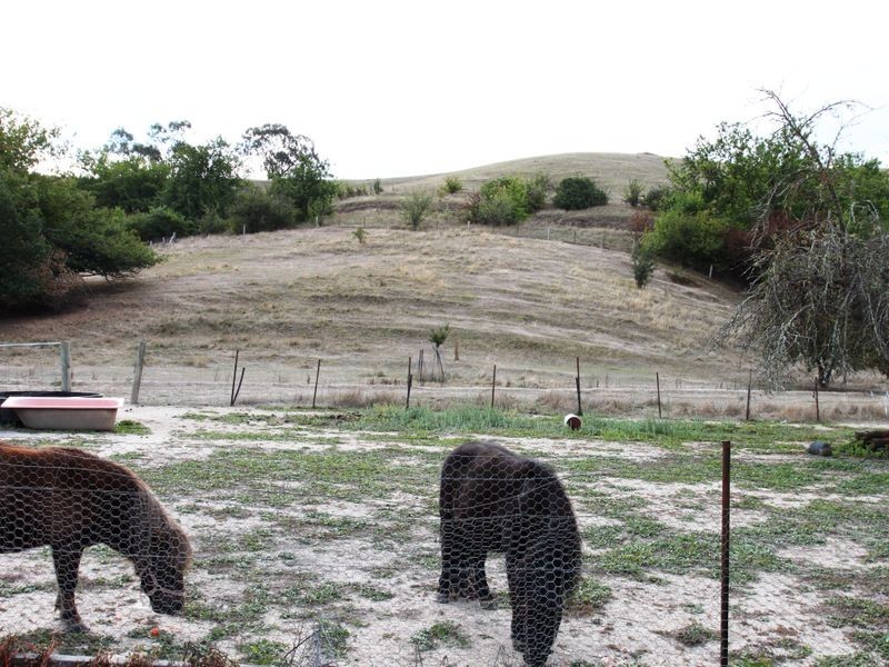 17 Peterkin Street, Alexandra VIC 3714