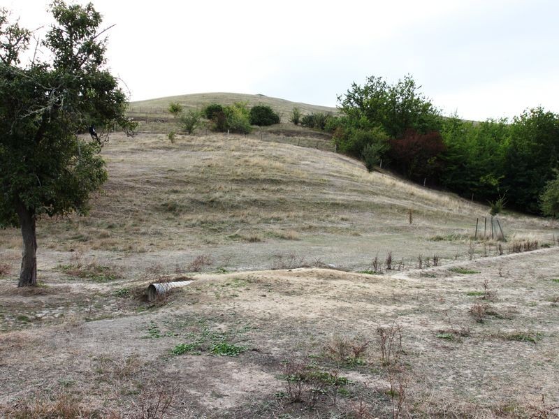 17 Peterkin Street, Alexandra VIC 3714