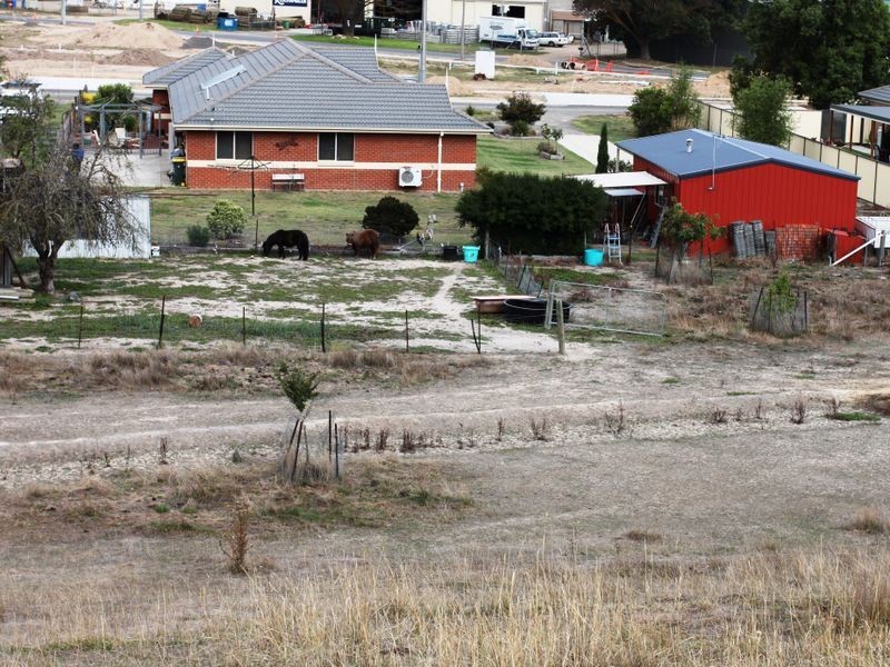 17 Peterkin Street, Alexandra VIC 3714