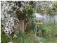 63 Webster Street, Alexandra VIC 3714