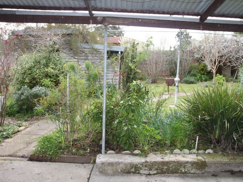 63 Webster Street, Alexandra VIC 3714
