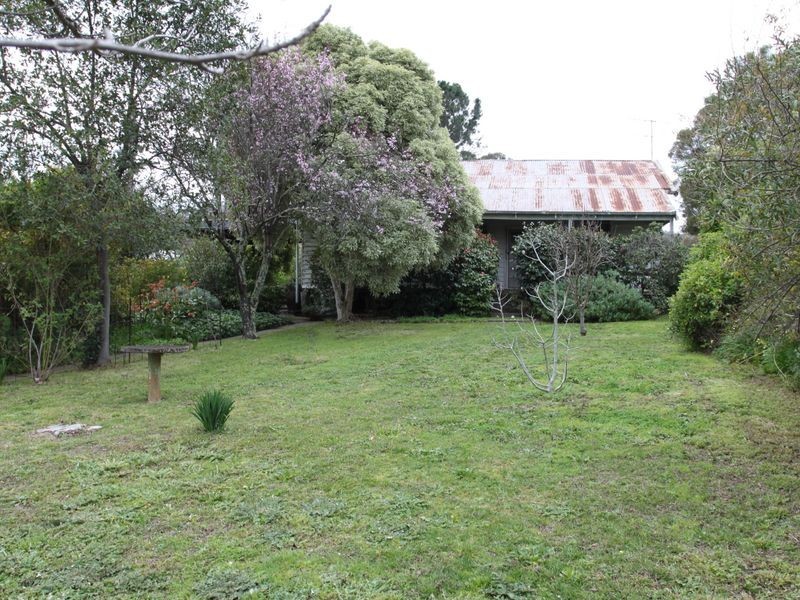 63 Webster Street, Alexandra VIC 3714