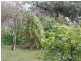 63 Webster Street, Alexandra VIC 3714