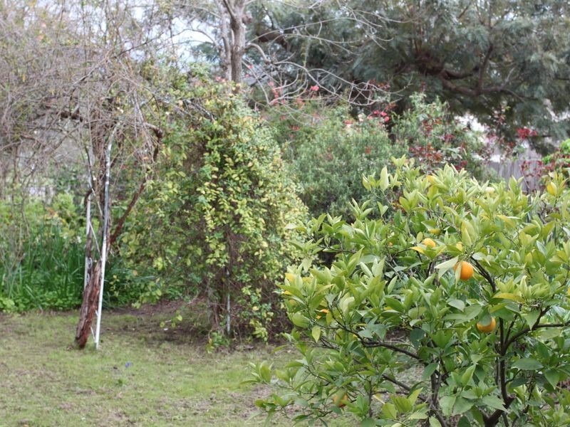 63 Webster Street, Alexandra VIC 3714