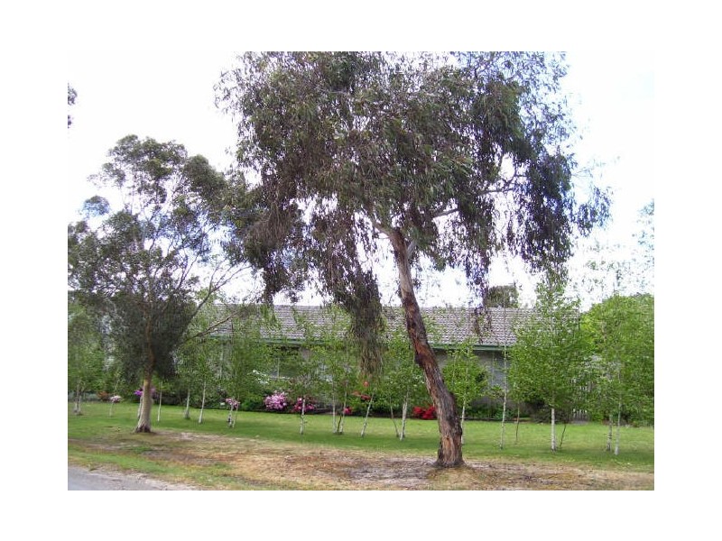 31 McKenzie Street, Alexandra VIC 3714
