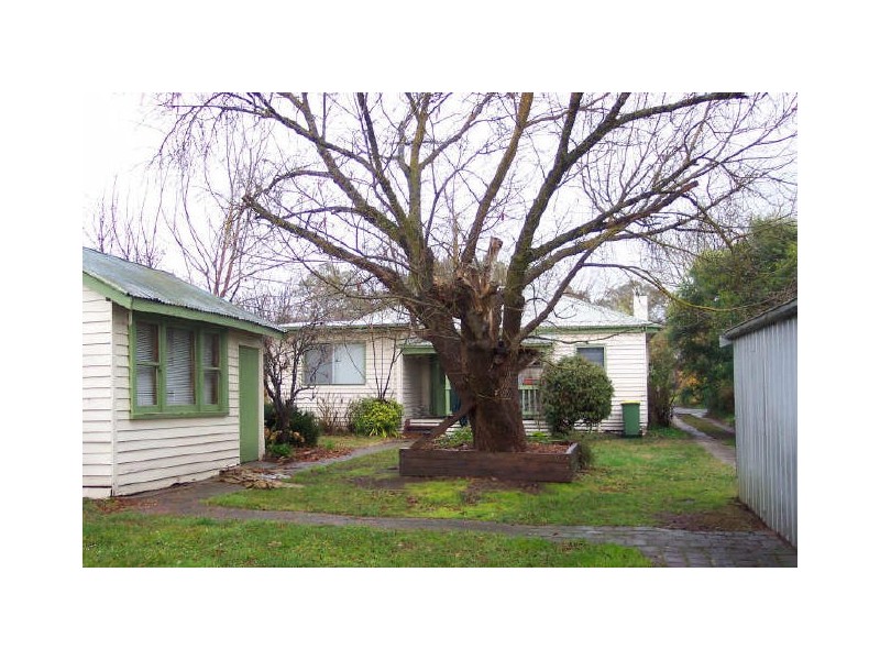 45 Coster Street, Alexandra VIC 3714