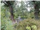 21 Downey St, Alexandra VIC 3714