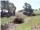 1000 Yarck Rd, Gobur VIC 3719