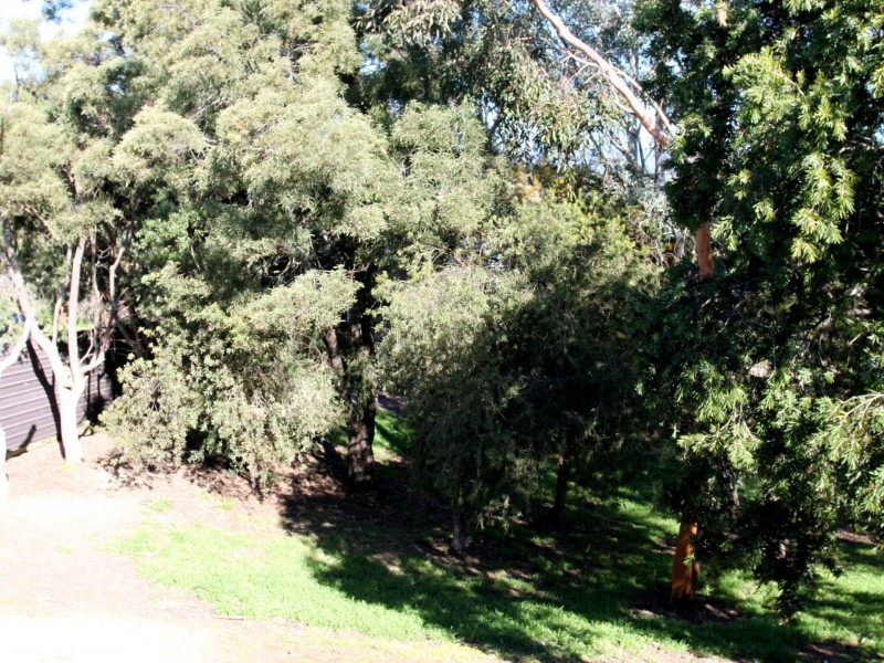 62 Myrtle Street, Alexandra VIC 3714