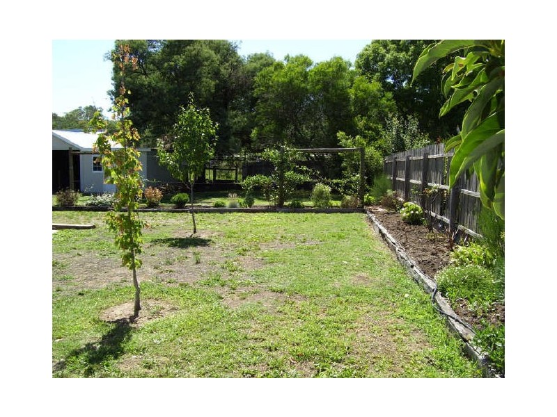 61 Bayley Street, Alexandra VIC 3714