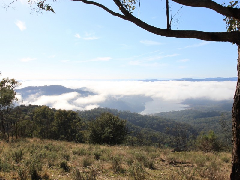 1515 Skyline Road, Devils River VIC 3714