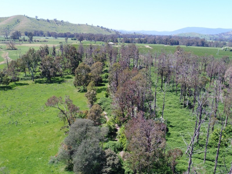 99 Dunns Lane, Alexandra VIC 3714