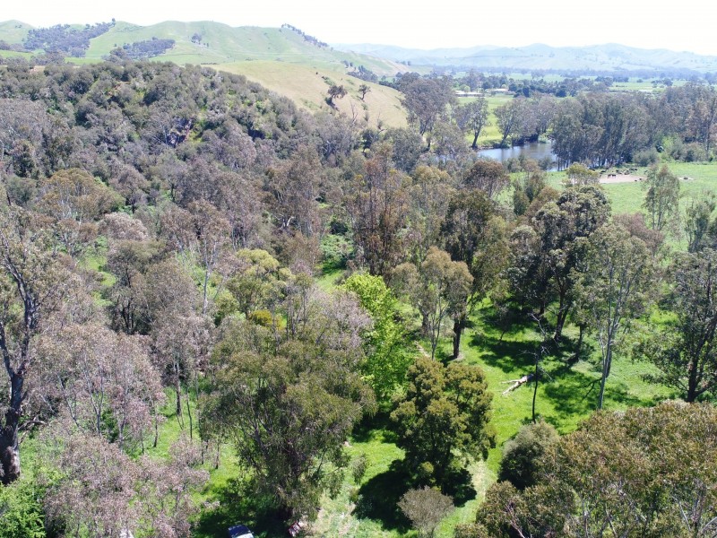 99 Dunns Lane, Alexandra VIC 3714