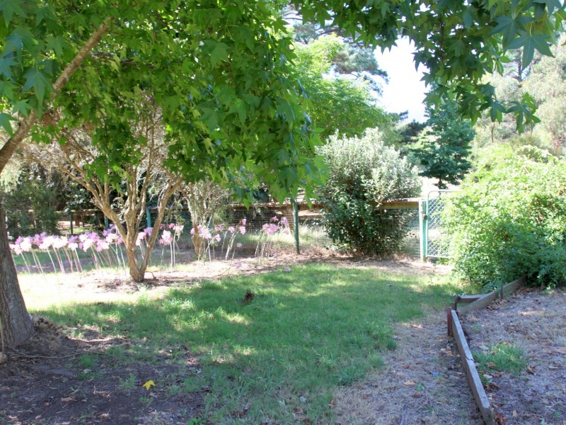 2221 Maroondah Highway, Buxton VIC 3711