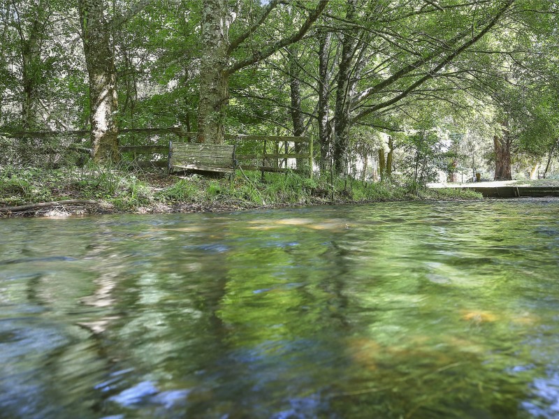 1 Mareeba Avenue, Buxton VIC 3711