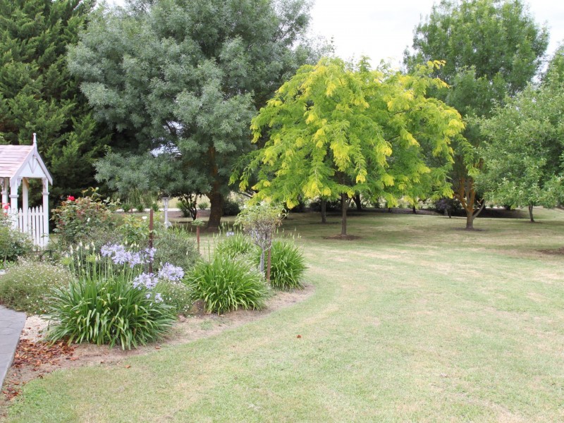 785 Back Eildon Rd, Eildon VIC 3713