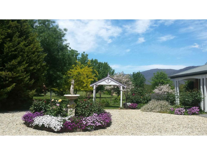 785 Back Eildon Rd, Eildon VIC 3713