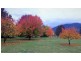 785 Back Eildon Rd, Eildon VIC 3713