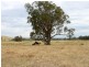 6695 Maroondah Highway, Yarck VIC 3719