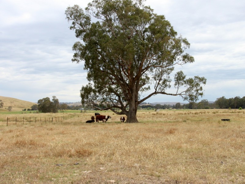 6695 Maroondah Highway, Yarck VIC 3719
