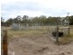 6695 Maroondah Highway, Yarck VIC 3719