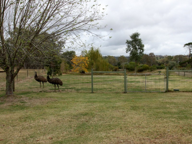 113 Connellys Creek Road, Acheron VIC 3714