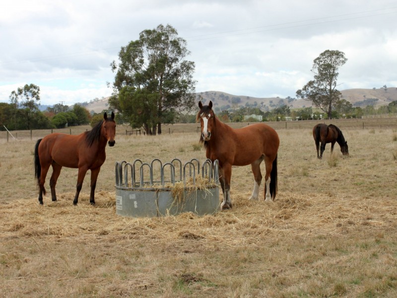 113 Connellys Creek Road, Acheron VIC 3714