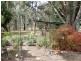 20 Weeks Court, Alexandra VIC 3714