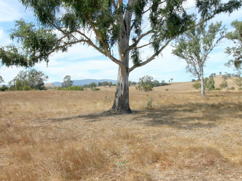 63 Connellys Creek Road, Acheron VIC 3714